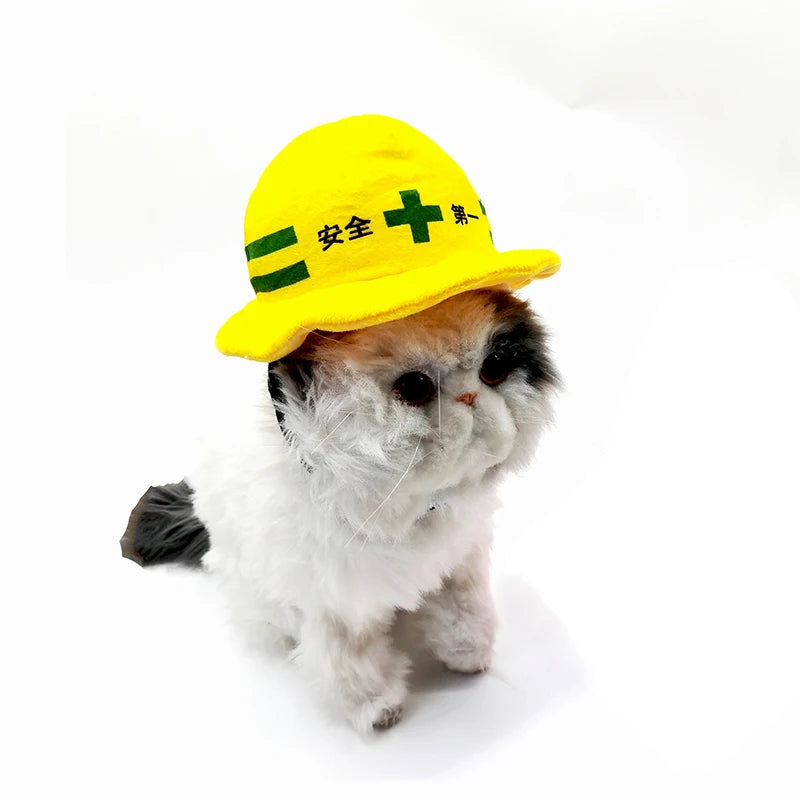 Pet Safety Helmet for Dogs and Cats | Cute Halloween Costume Accessory