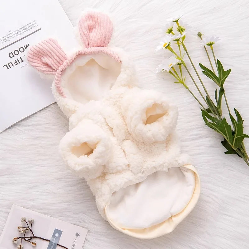 Thickened Fluffy Cotton Coat for Kittens | Warm Winter Jacket