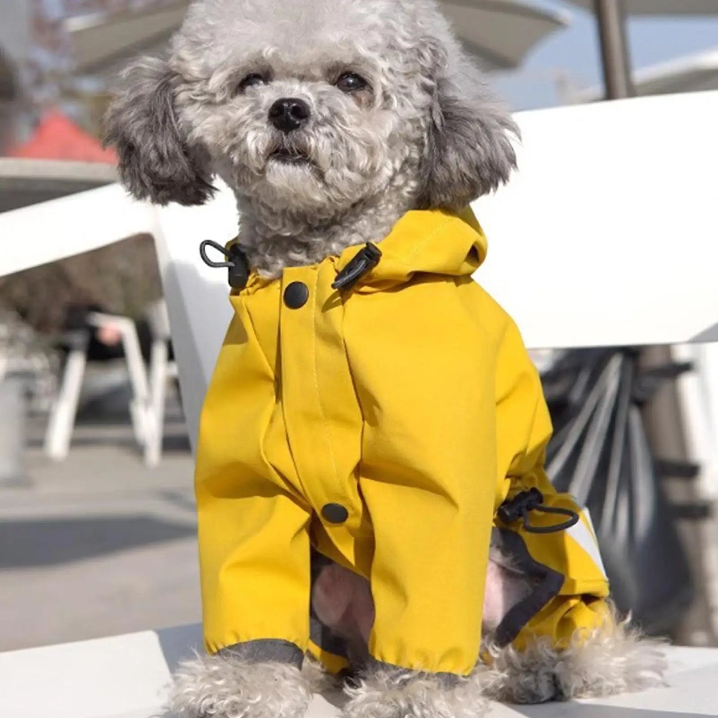 Waterproof Adjustable Dog Raincoat for All Weather Adventures