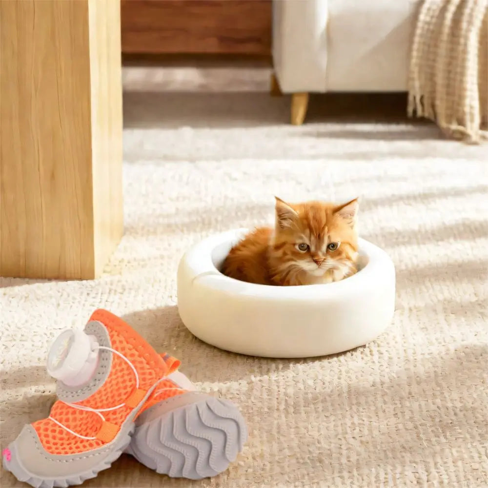 Breathable Dog Mesh Shoes | Anti-Slip Summer Footwear Set