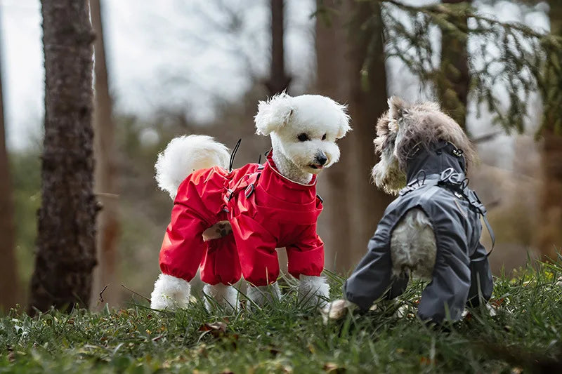 Adjustable Reflective Dog Raincoat with Harness for Small Dogs