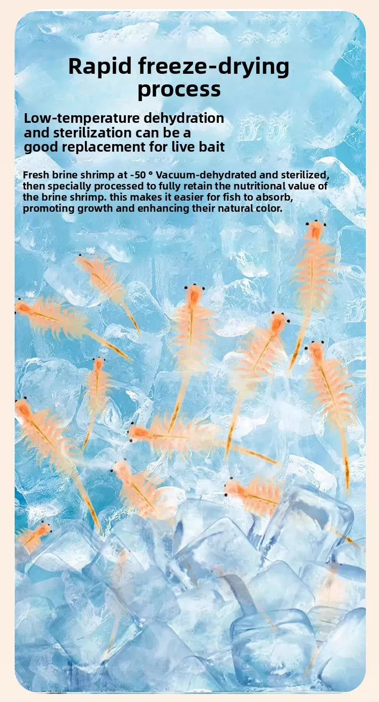 Freeze-Dried Brine Shrimp Blocks for Fish | Nutrient-Rich Treats