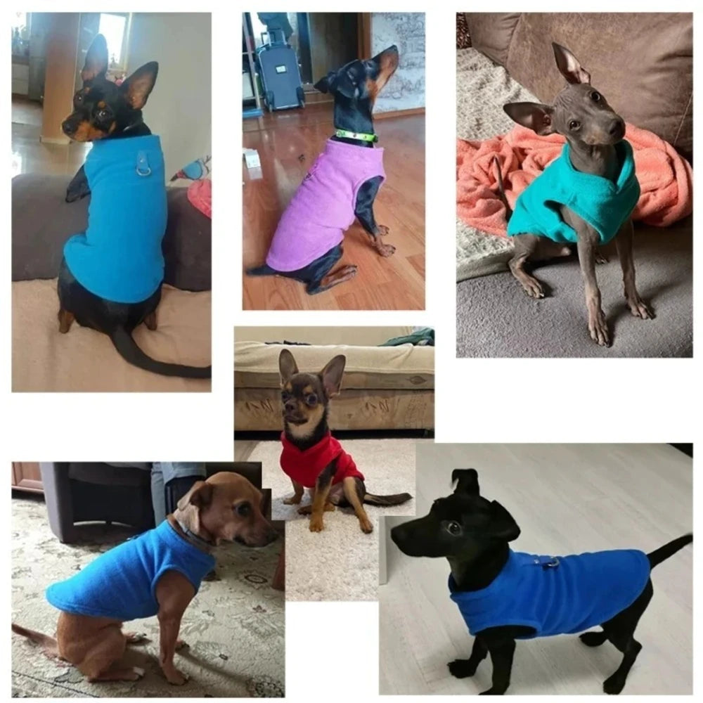 Suéter polar de invierno con estampado de gatos lindos para mascotas pequeñas