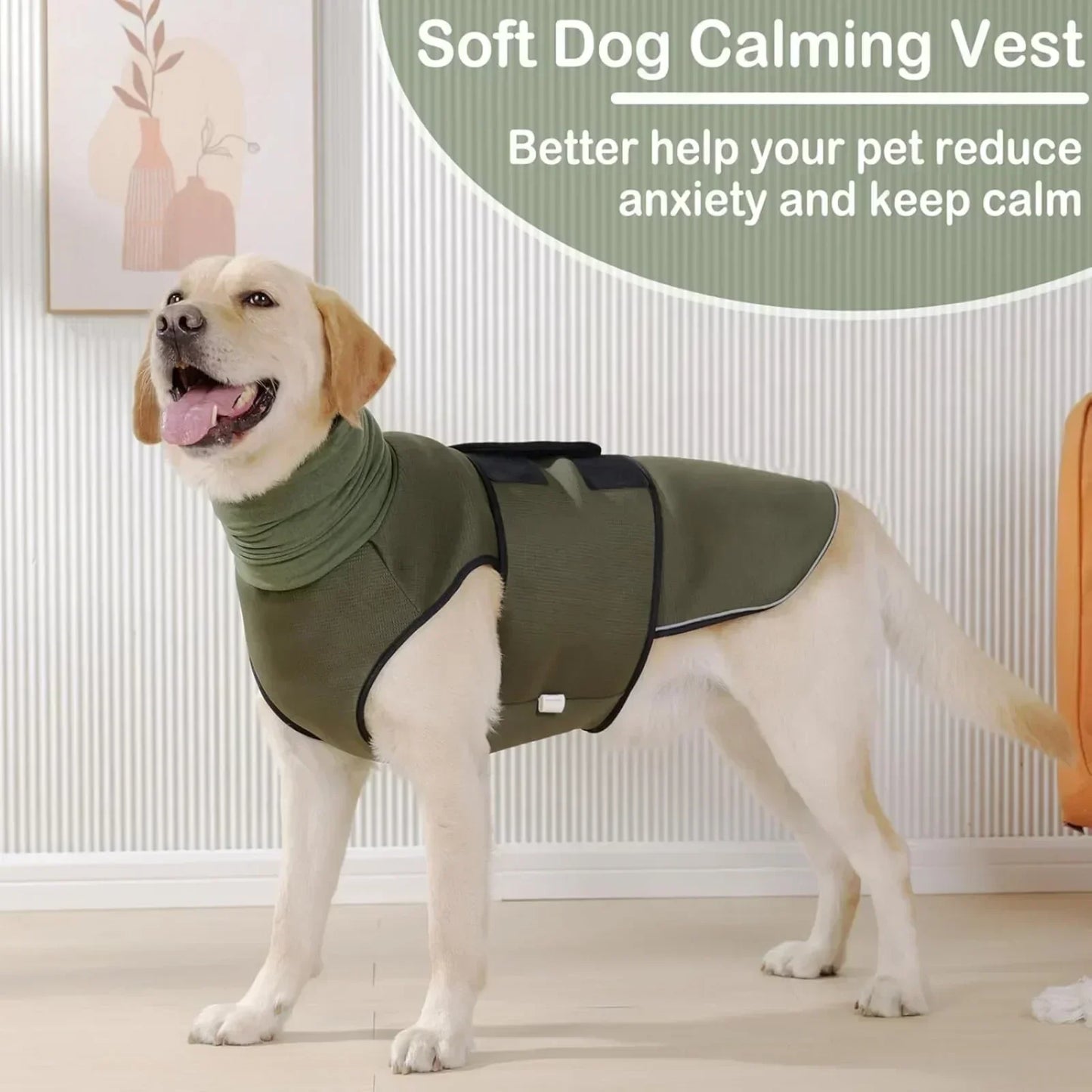 Chaleco para perros ansiosos con capucha | Comodidad y seguridad para mascotas