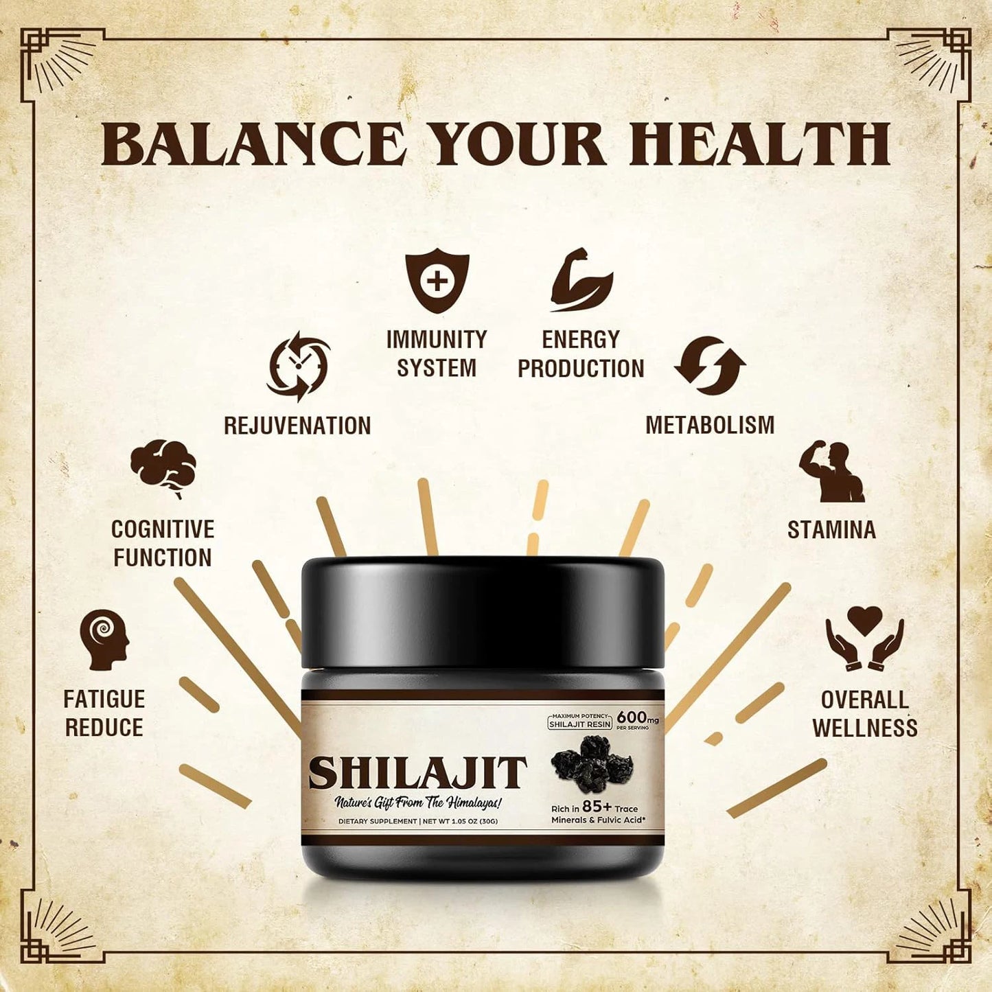 Pure Himalayan Organic Shilajit Resin | Maximum Potency 600mg