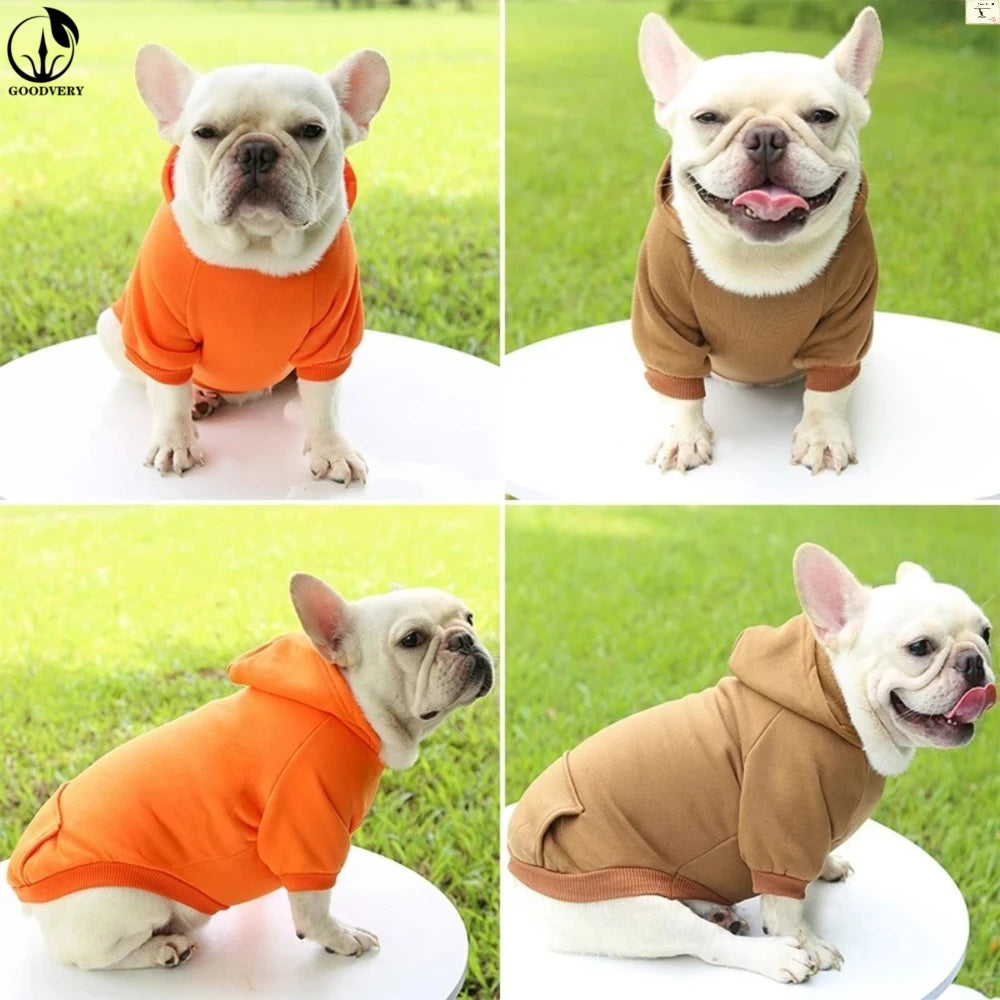 Sudadera con capucha elegante para perros | Divertido patrón de arcoíris de dibujos animados