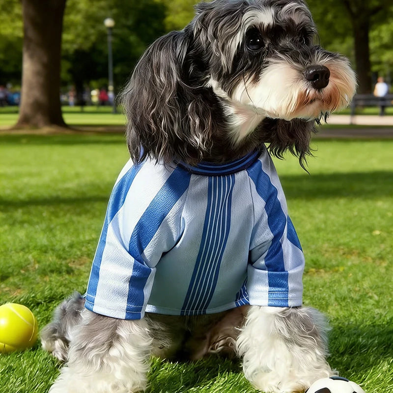 1pc Pet Cat/Dog #18 Jersey, Blue Stripe Letter Print, Fashionable Casual Sports Style, Comfortable Dog Shirt