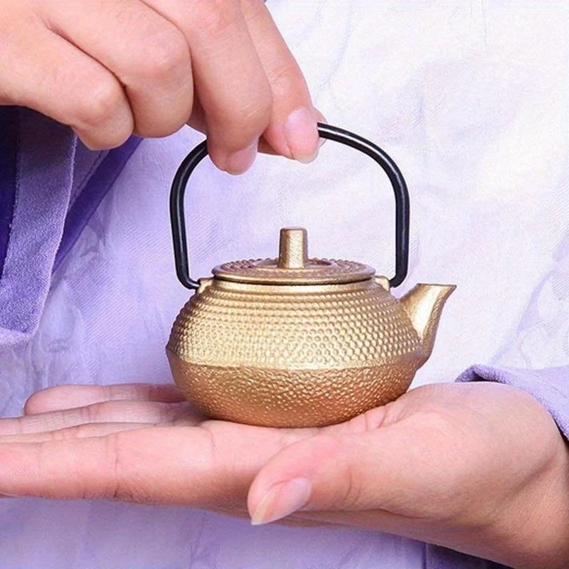 Mini Cast Iron Teapot Set | Elegant Drinkware & Infusers