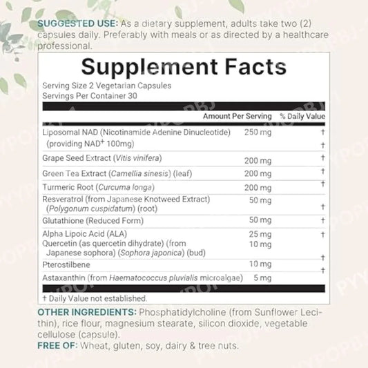 Liposomal NAD+ Ultimate Complex - 1000mg | 60 Veggie Capsules