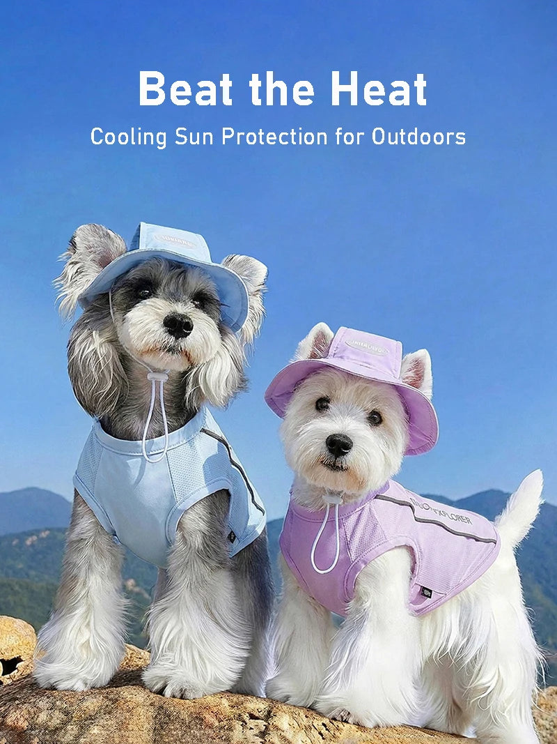 Lightweight Summer Cooling Vest for Dogs and Cats | Breathable Mesh Shirt