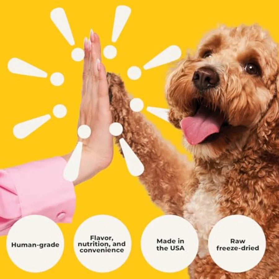 Freeze Dried Beef Liver Dog Treats | Single Ingredient Training Bites