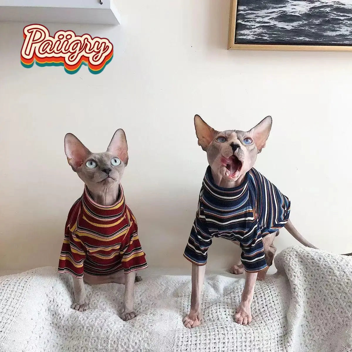 Trendy Retro Cat T-Shirt | Must-Have Summer Pet Clothing