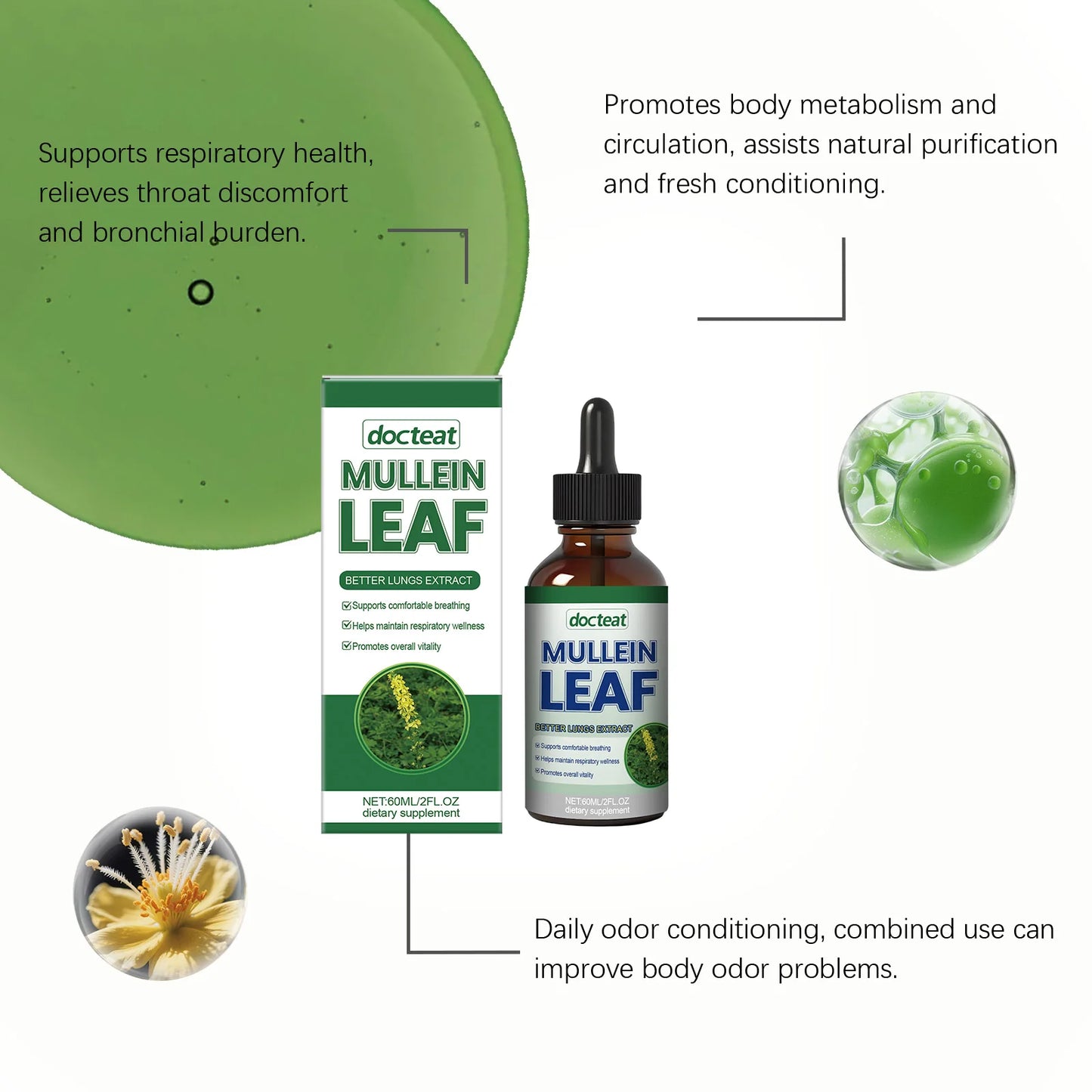 Herbal Mullein & Chlorophyll Drops for Respiratory Support