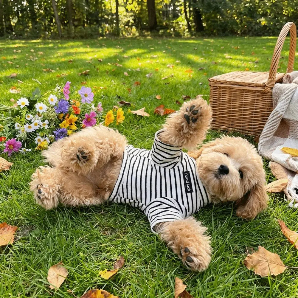 Thermal Dog Sweater | Soft and Warm Striped Pet Clothing