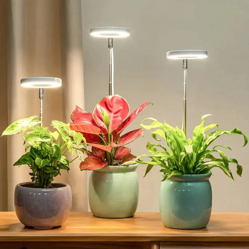 Full Spectrum LED Grow Light | Adjustable & Dimmable Plant Lamp