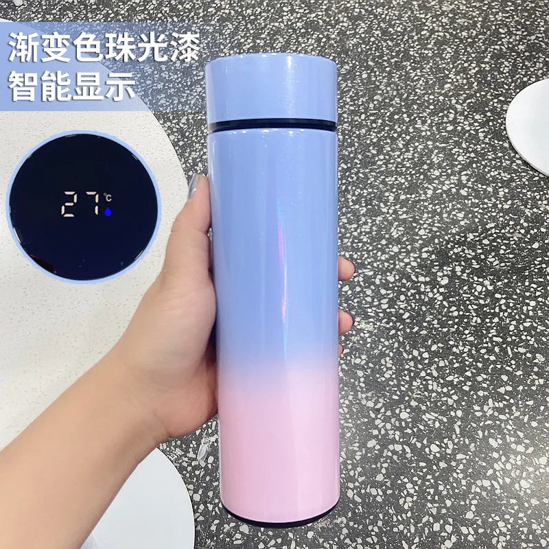 500ML Smart Insulated Water Bottle with Temperature Display