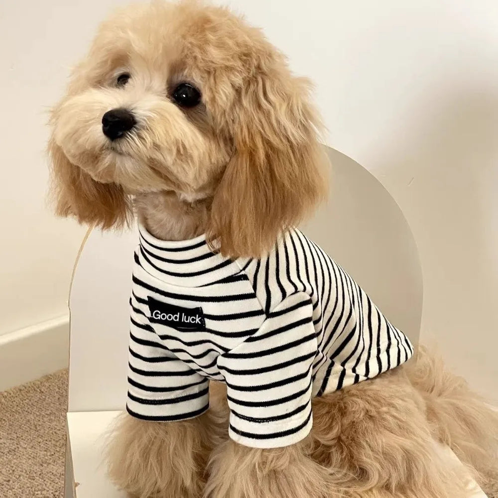 Thermal Dog Sweater | Soft and Warm Striped Pet Clothing