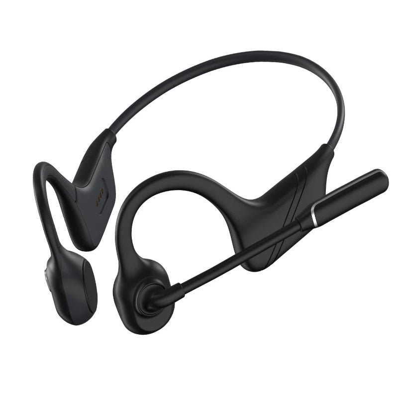 Professional Open Stereo Headphones with Noise Canceling Microphone