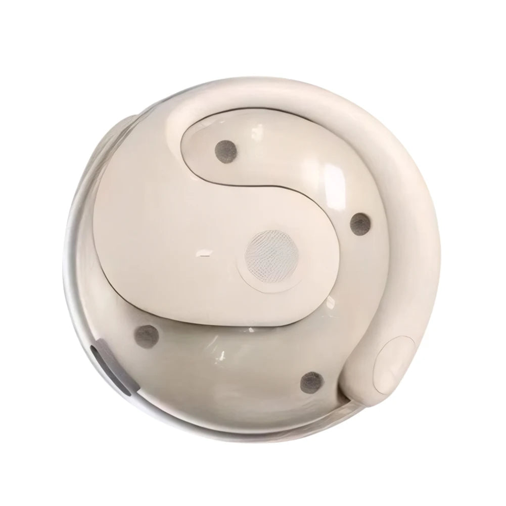 AI Language Instant Translation Earbuds | Real-Time Translator
