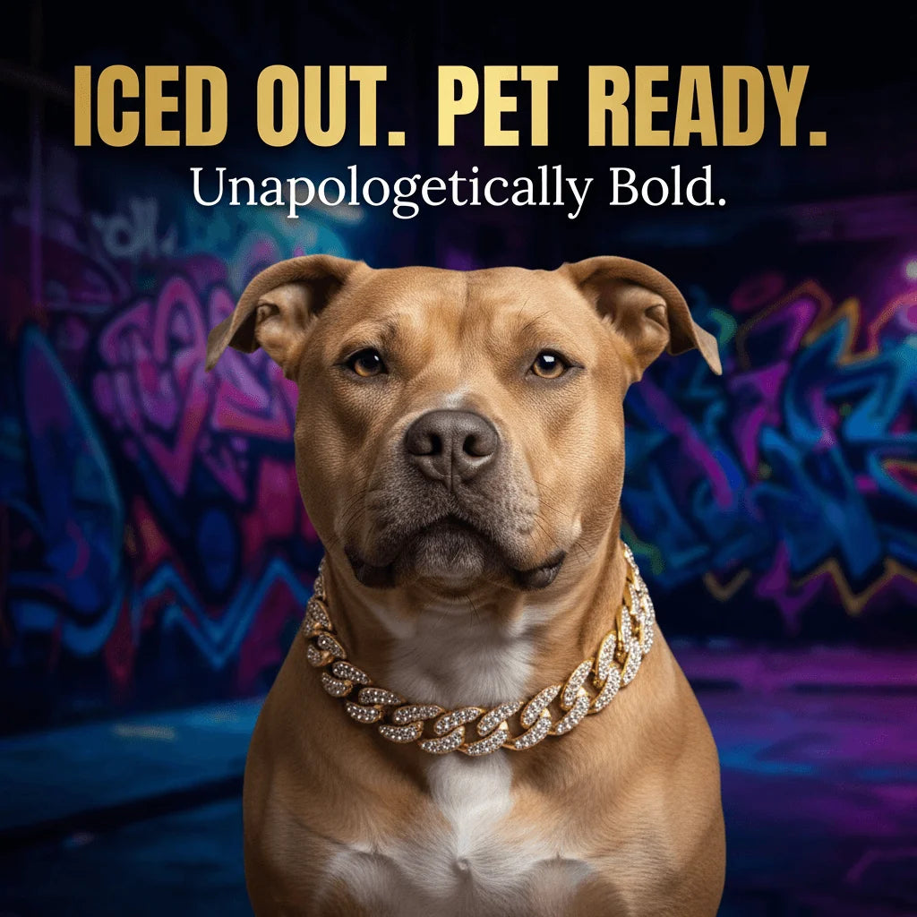 Luxury Hip Hop Dog Collar | Gold Tone Stainless Steel Pet Jewelry