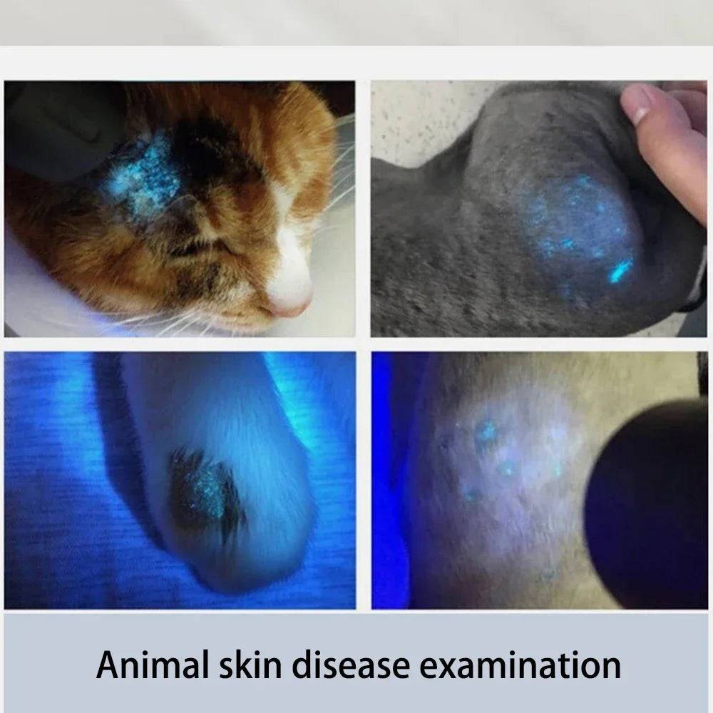 Handheld Pet Skin Diagnosis Light | USB Charging Filter Lamp