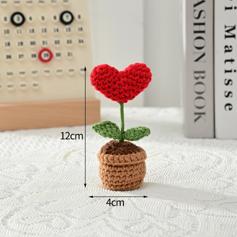 Beautiful Hand-Woven Crochet Flower Pots for Home Décor