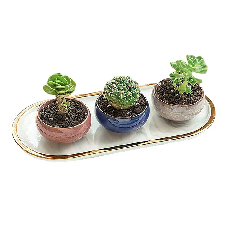 Cute Ice-Crack Glaze Flower Ceramic Succulent Planter