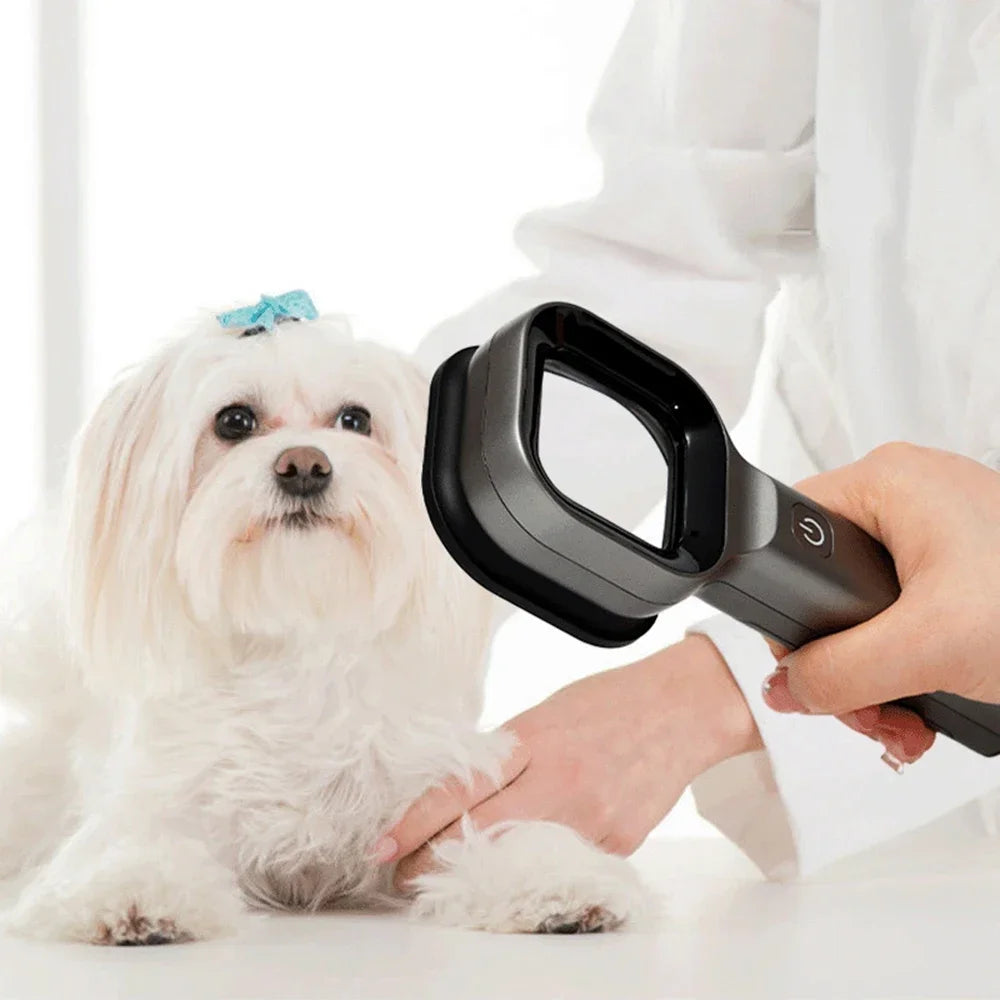 Handheld Pet Skin Diagnosis Light | USB Charging Filter Lamp