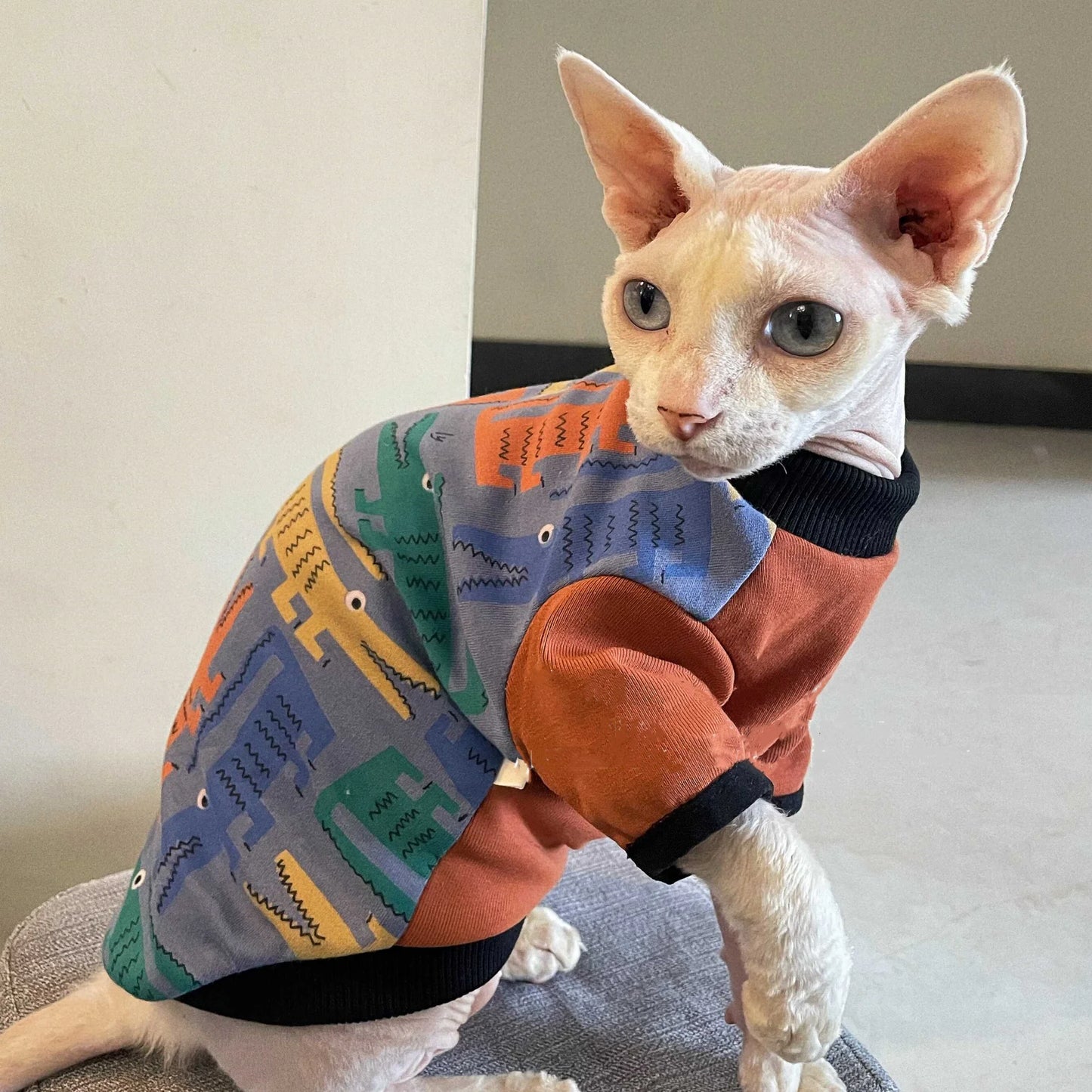 Long Sleeve Sweatshirt for Cats | Cozy Cartoon Coat for Spring