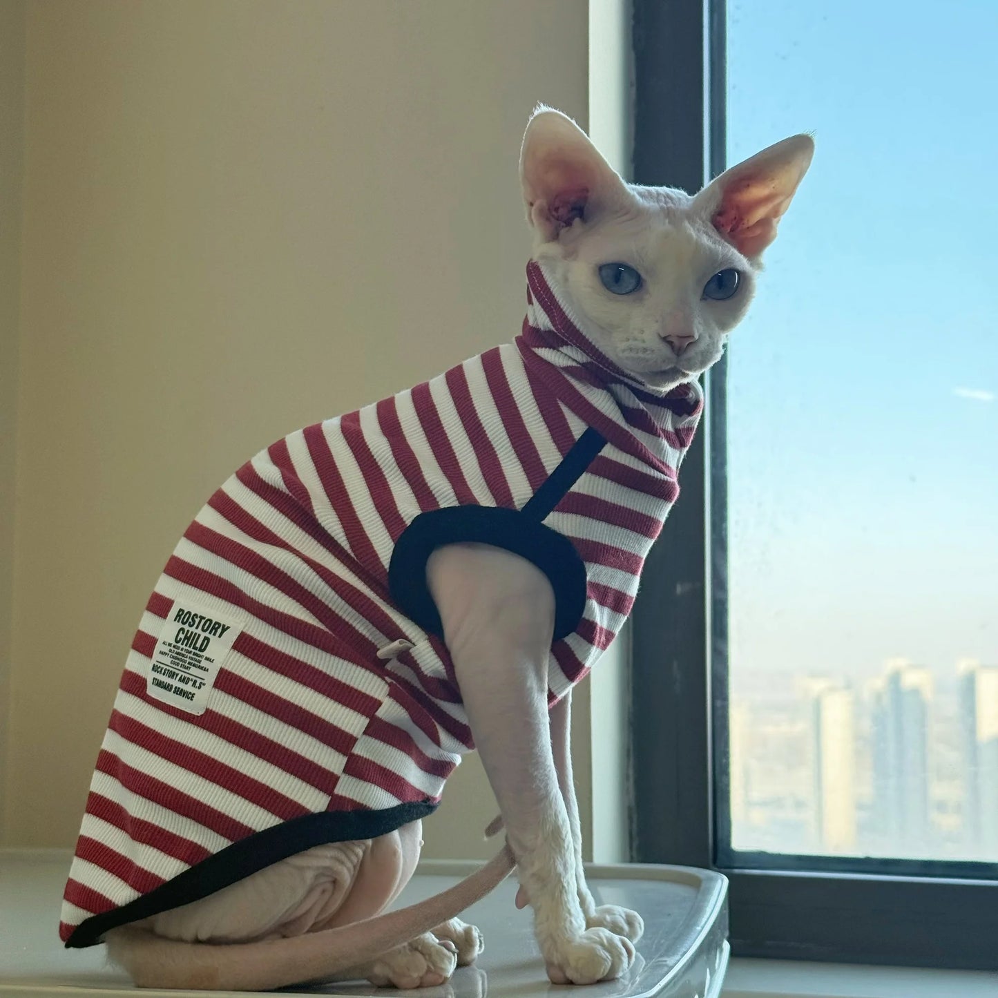 Cute Sleeveless Striped T-Shirt for Sphinx Cats | Autumn Fashion