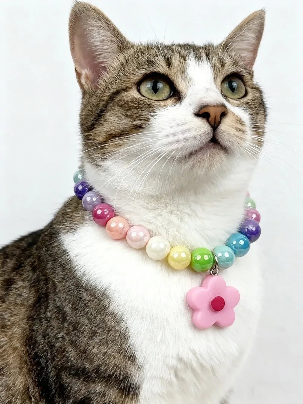 Adjustable Beaded Cat Flower Pendant Neck Chain | Pet Jewelry