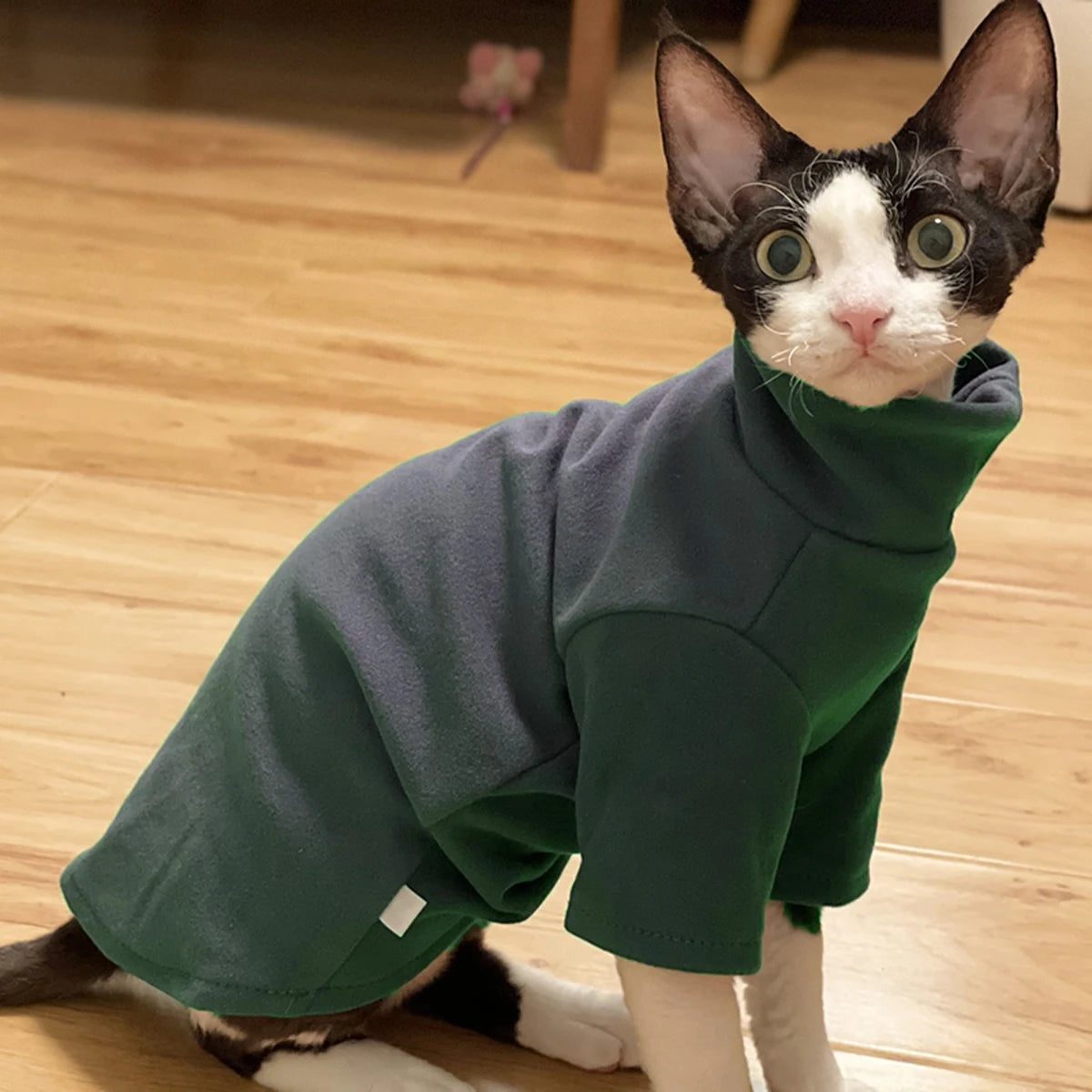 Ropa de Algodón Suave para Gatos Sin Pelo | Atuendos Cómodos y con Estilo