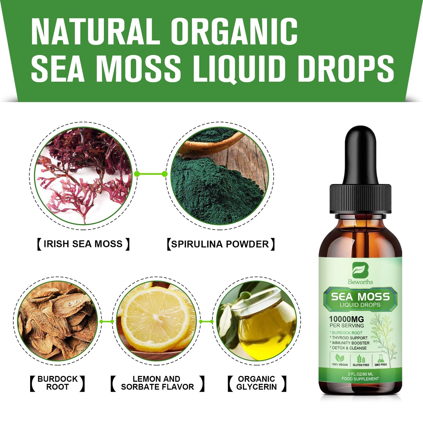 Sea Moss Liquid Drops | Immune Support & Antioxidant Supplement