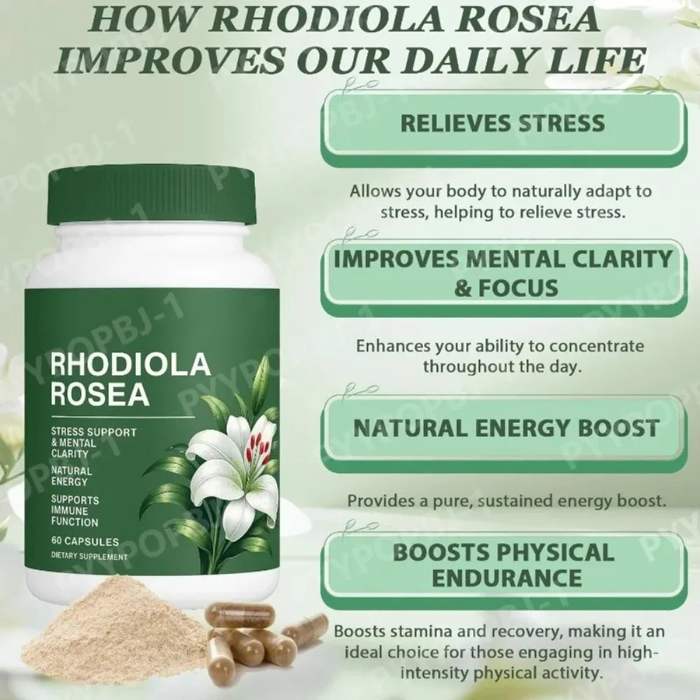 Rhodiola Rosea Capsules | Daily Energy & Mental Focus Support