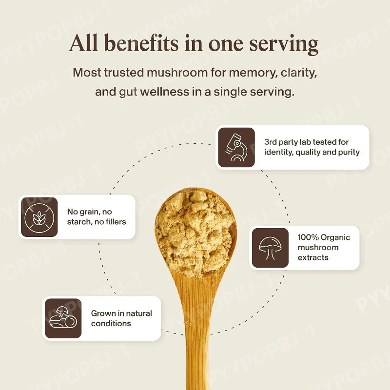 Organic Lion's Mane Mushroom Extract Capsules | Vegan Supplement