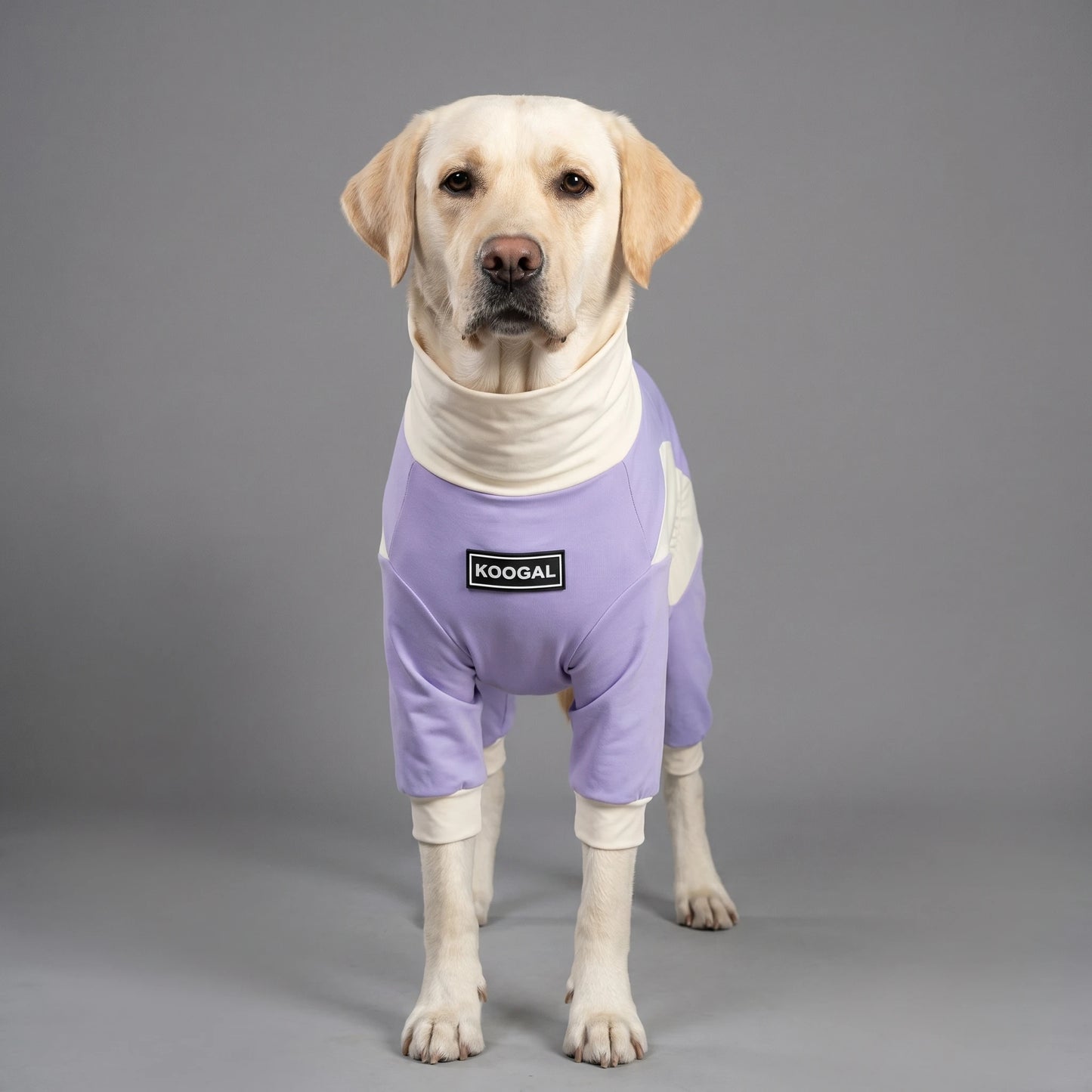 Summer Dog Cooling Clothes | Quick-Dry Pet Sun Protection Outfit