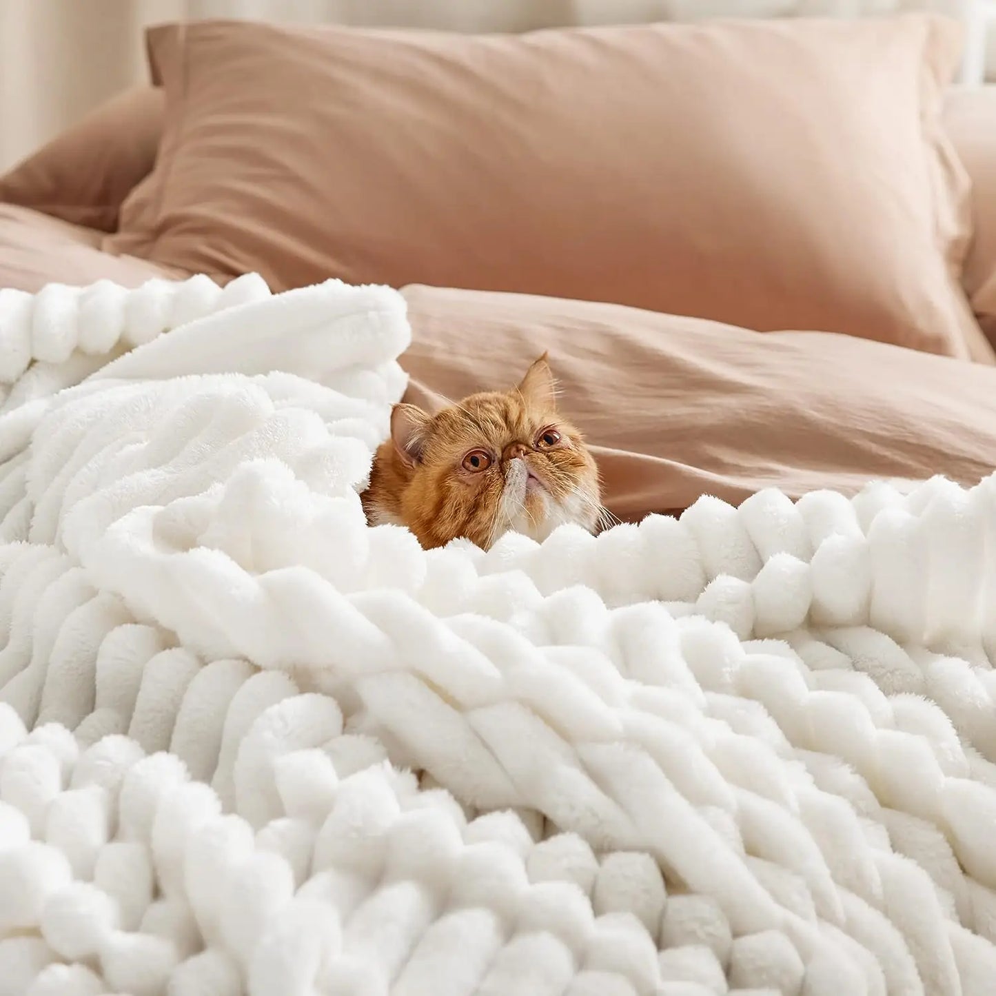 Ultra Soft Striped Fleece Throw Blanket | Warm & Cozy Comfort