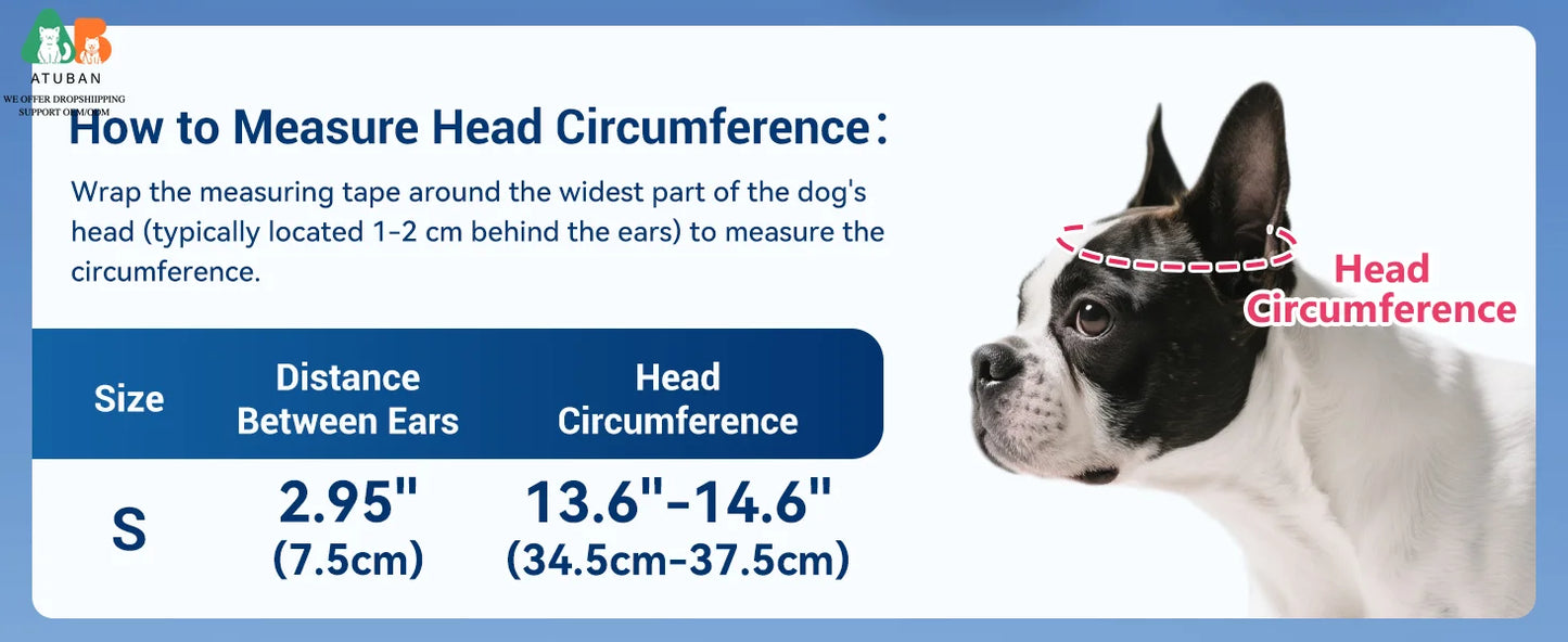 Dog Motorcycle Helmet for Small Breeds | Stylish & Protective
