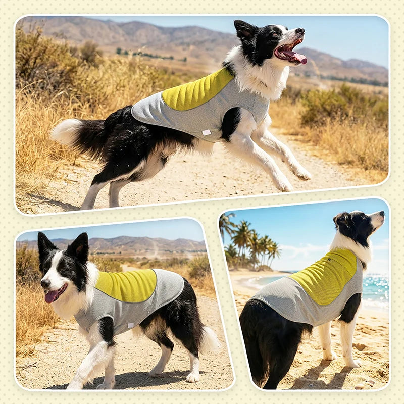 Pet Summer Cooling Vest | Breathable Heat Relief for Dogs