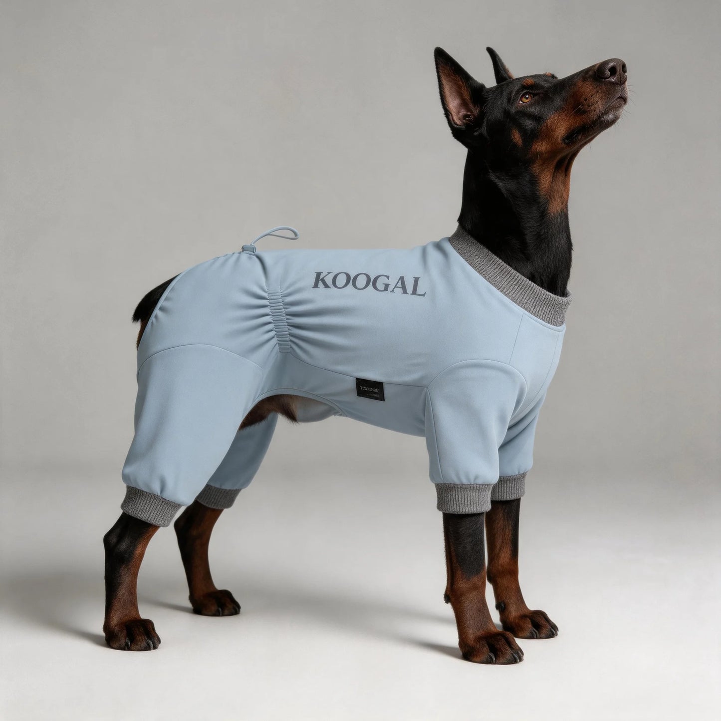 Lightweight Summer Dog Pyjamas | Comfortable Dog Onesie for All Sizes