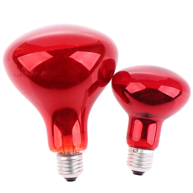 Infrared Physiotherapy Bulb for Pain Relief & Muscle Relaxation
