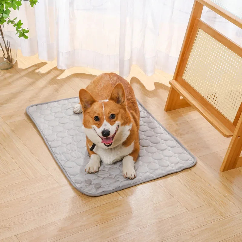 Cooling Pet Ice Pad | Breathable Washable Sleep Mat for Pets