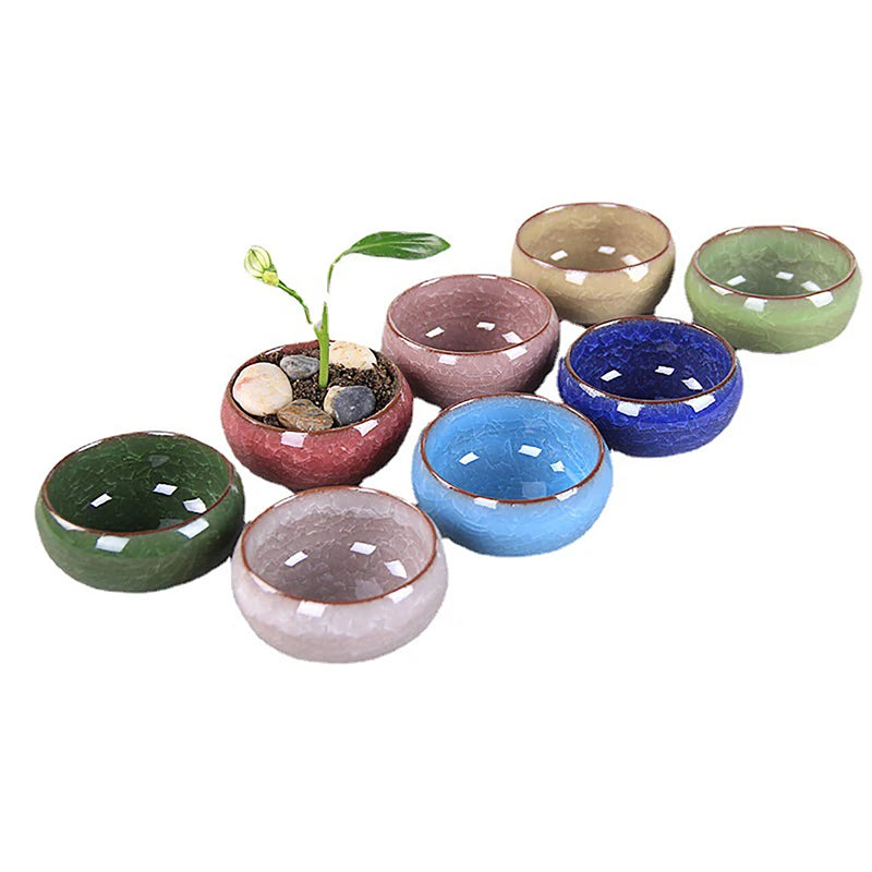 Cute Ice-Crack Glaze Flower Ceramic Succulent Planter