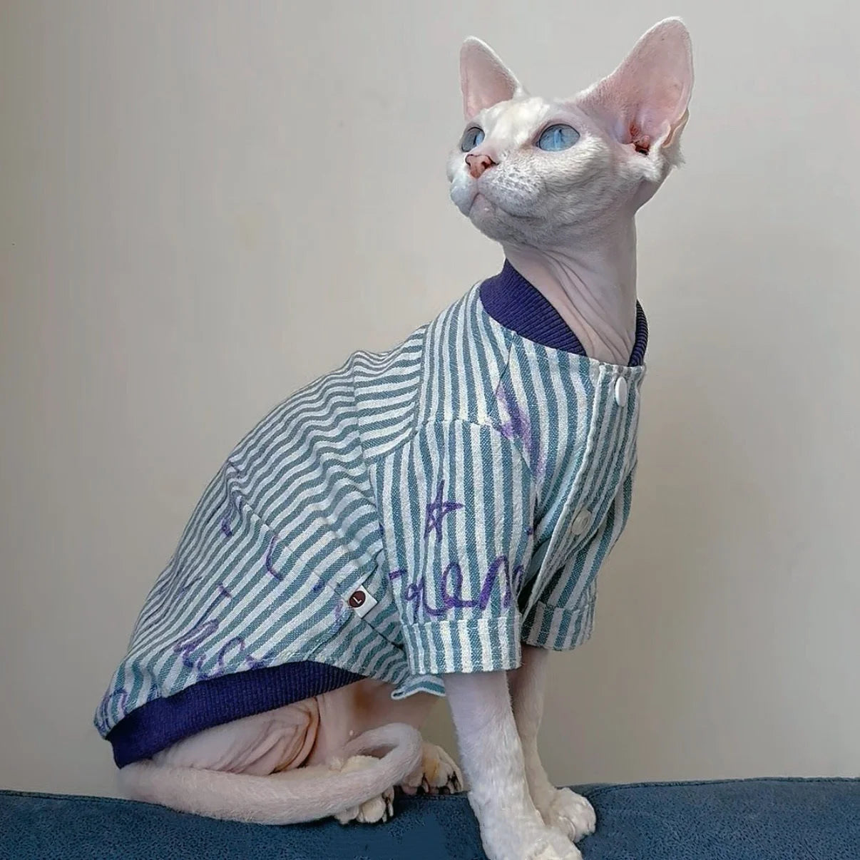 Stylish Cotton Baseball Jacket for Sphynx Cats and Kittens