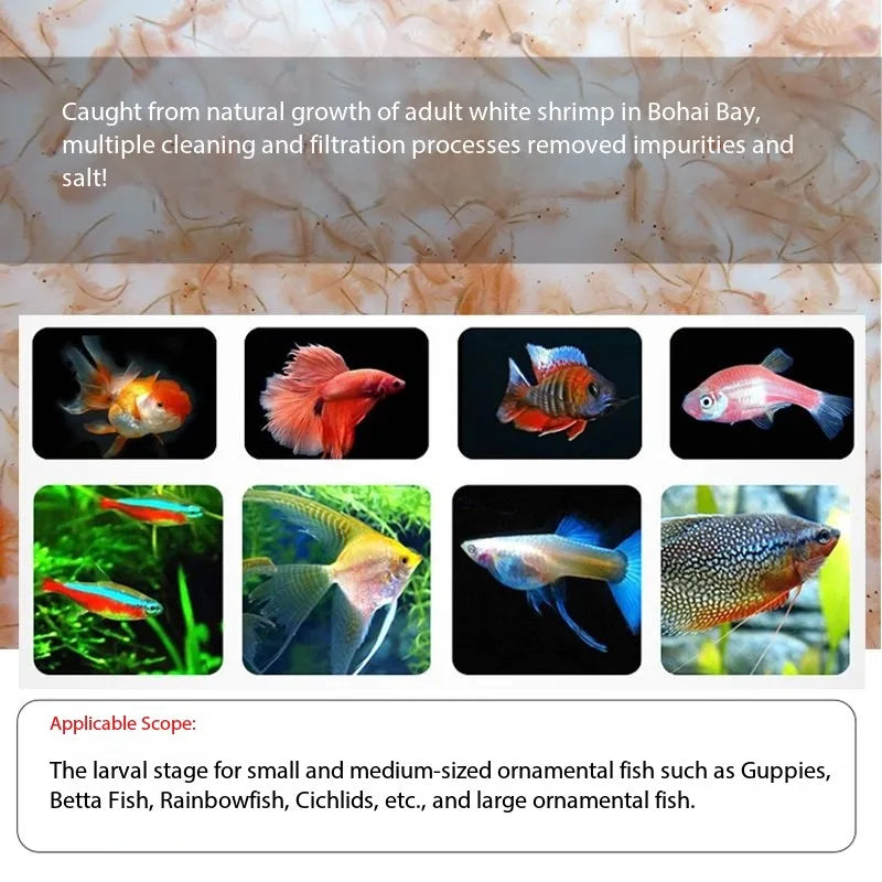 High Protein Freeze-Dried Brine Shrimp Cubes | Premium Fish Food