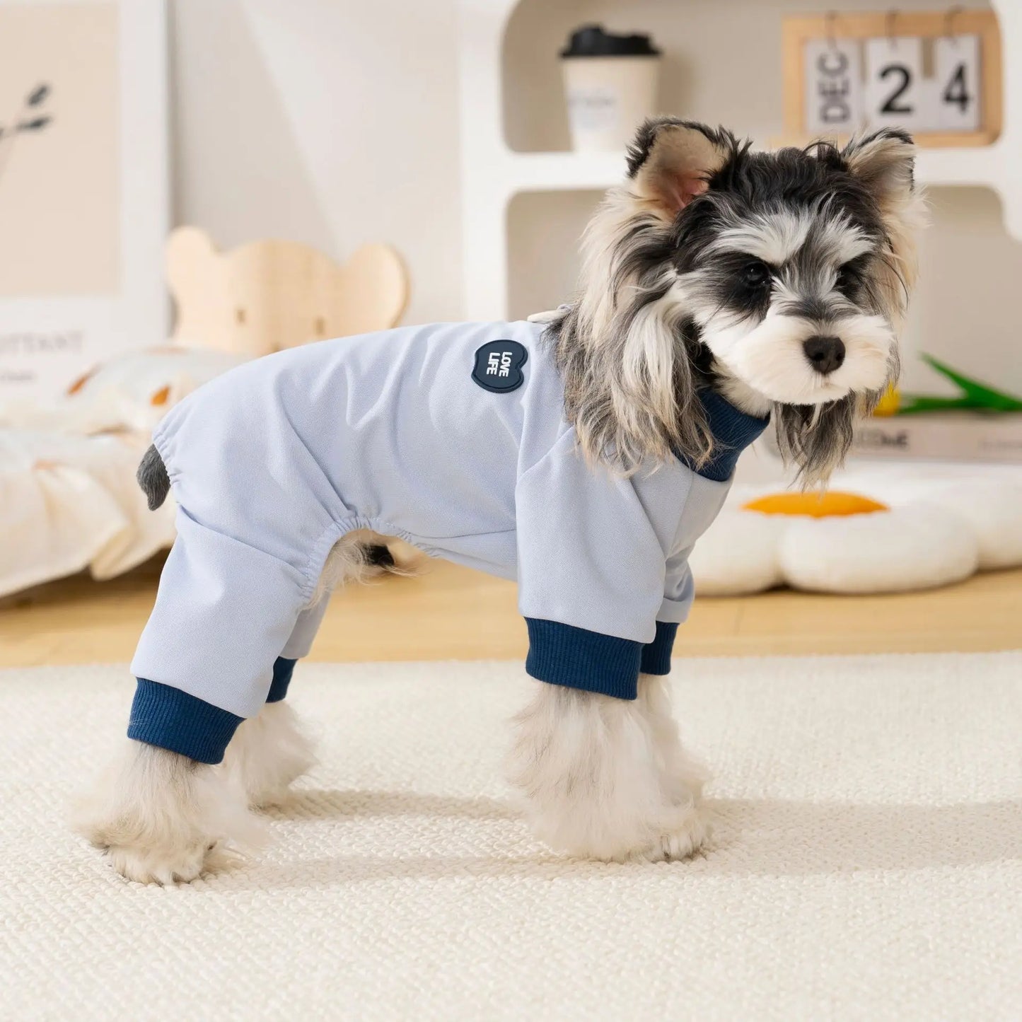 Pet clothing outdoor  dog four-legged outfit spring and summer new dog clothes cat spring and summer clothes for sun protection