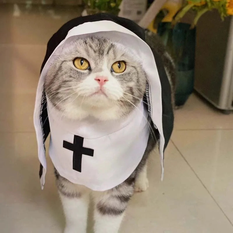 Disfraz Divertido de Gato Monja para Perros Pequeños | Lindo Atuendo para Mascotas