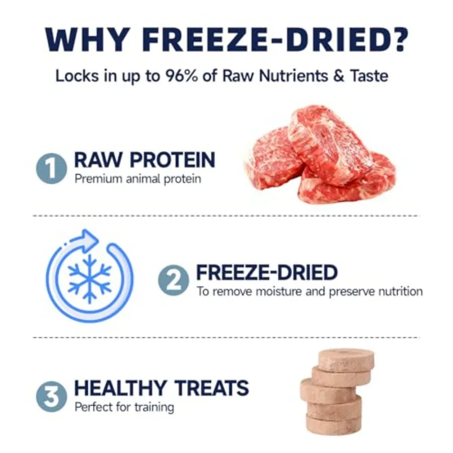 Freeze Dried Beef Patties | High Protein Treats for Dogs and Cats