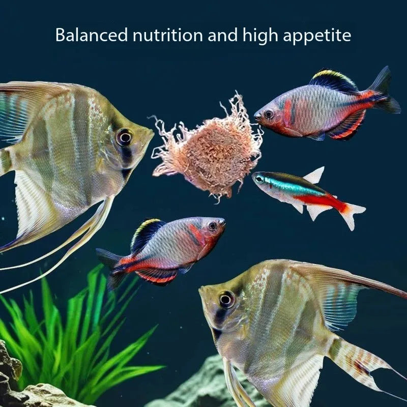High Protein Freeze Dried Bloodworms for Fish & Tortoise Feed