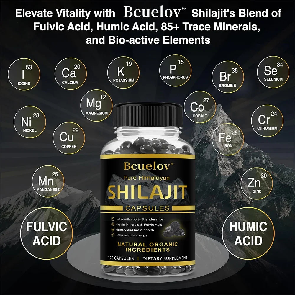 High Purity Shilajit Capsules | Boost Energy & Resist Stress